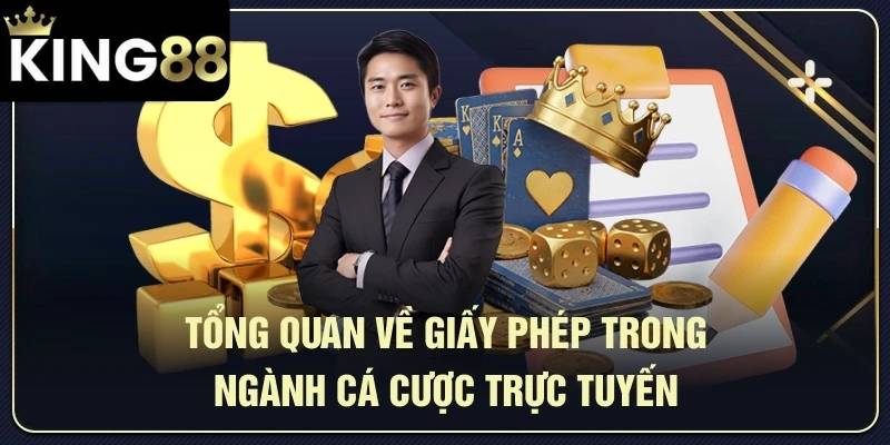 Tổng quan về giấy phép hoạt động